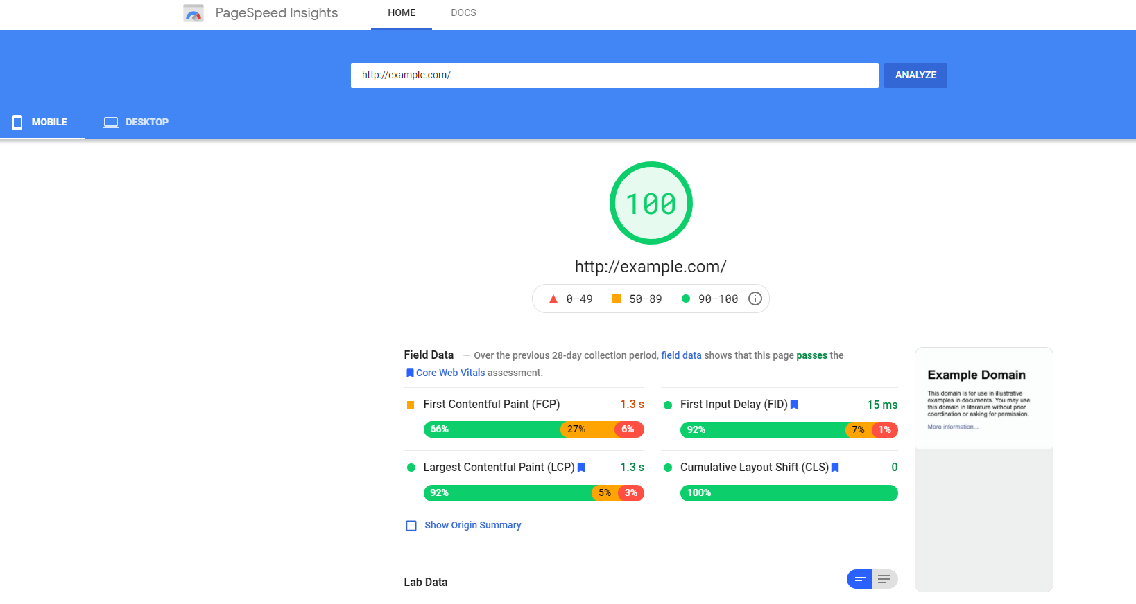 Google PageSpeed Insights for example.com overview