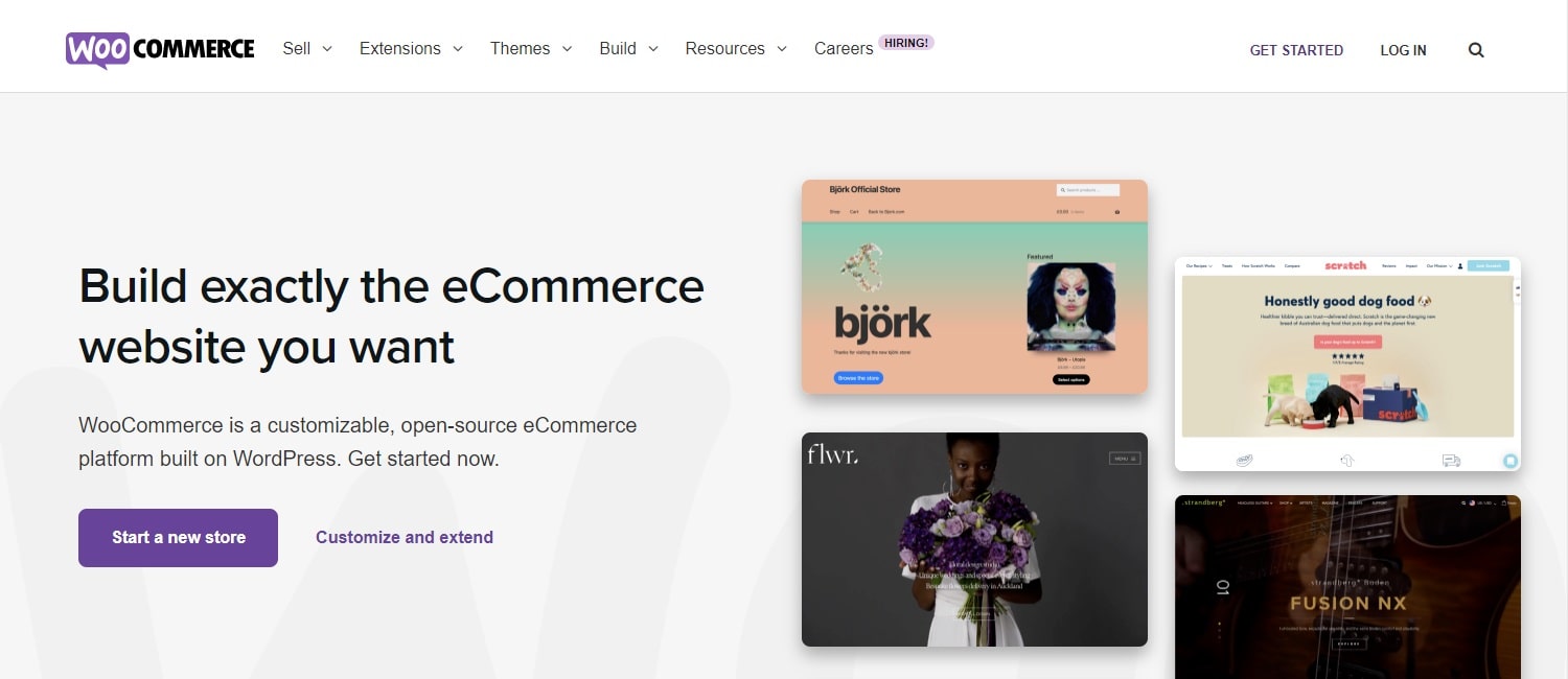 ganar-dinero-con-wordpress-woocommerce