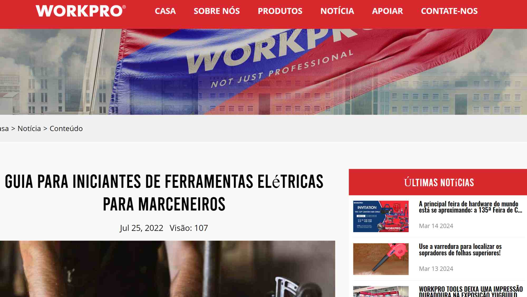 guia-para-iniciantes-do-blog-da-workpro