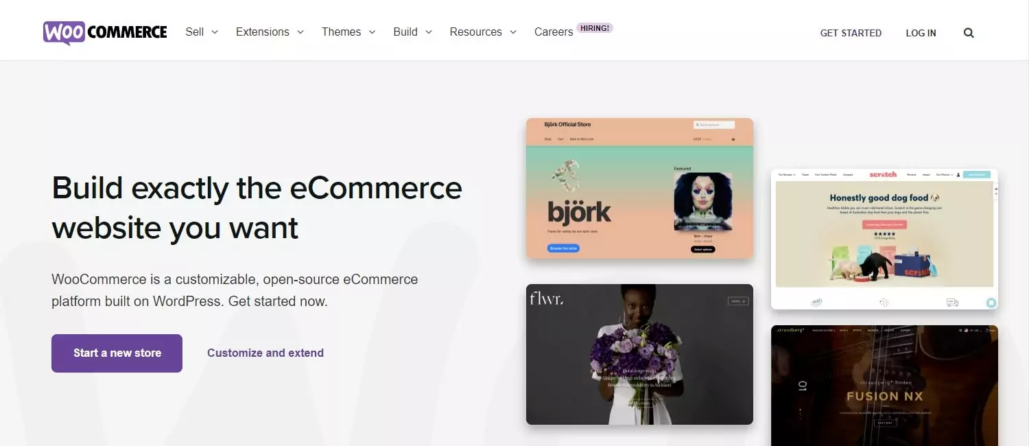 ganar-dinero-con-wordpress-woocommerce